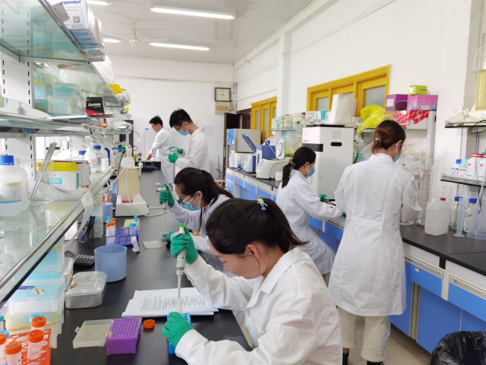 /crm/product/image/20220724/1658716451165033550.jpg /crm/product/image/20220724/1658716451165033550.jpg