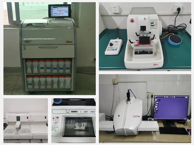 /crm/product/image/20220816/1660632437727083456.jpg /crm/product/image/20220816/1660632437727083456.jpg