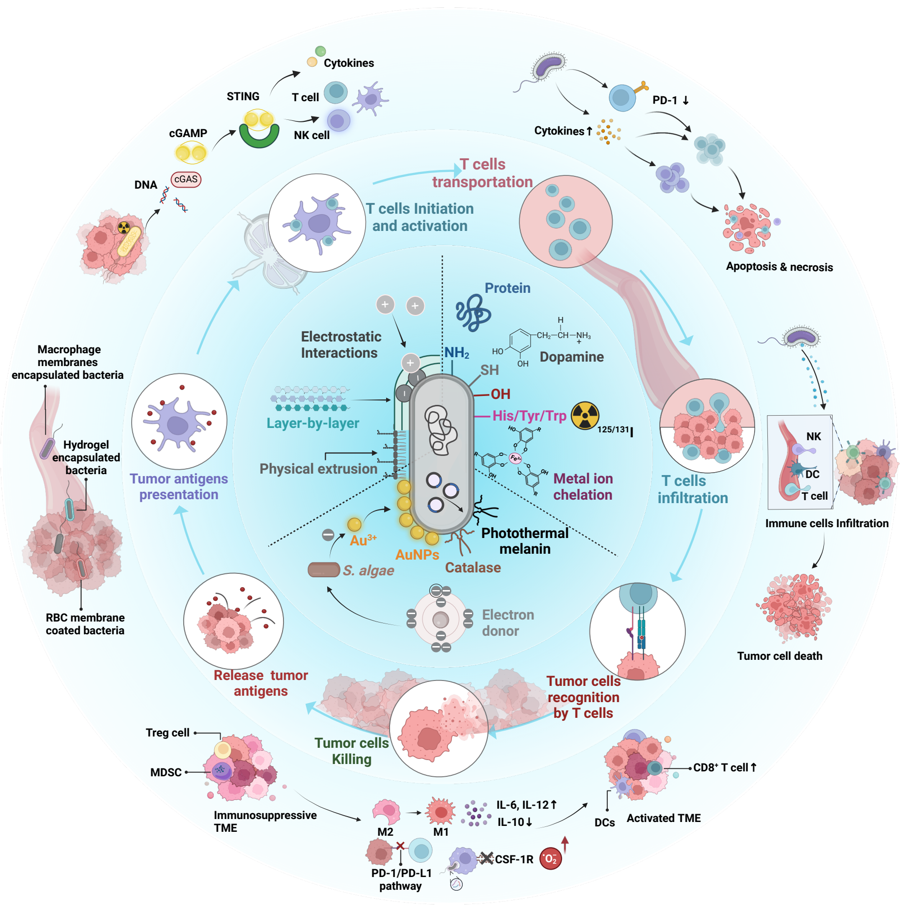 /crm/product/image/20240528/1716952953094037795.png /crm/product/image/20240528/1716952953094037795.png