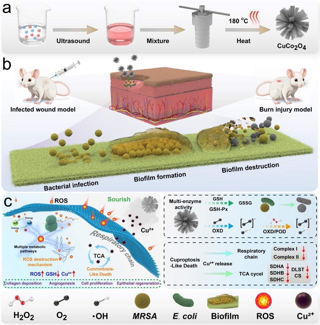 /crm/product/image/20240617/1718676283776081590.png /crm/product/image/20240617/1718676283776081590.png