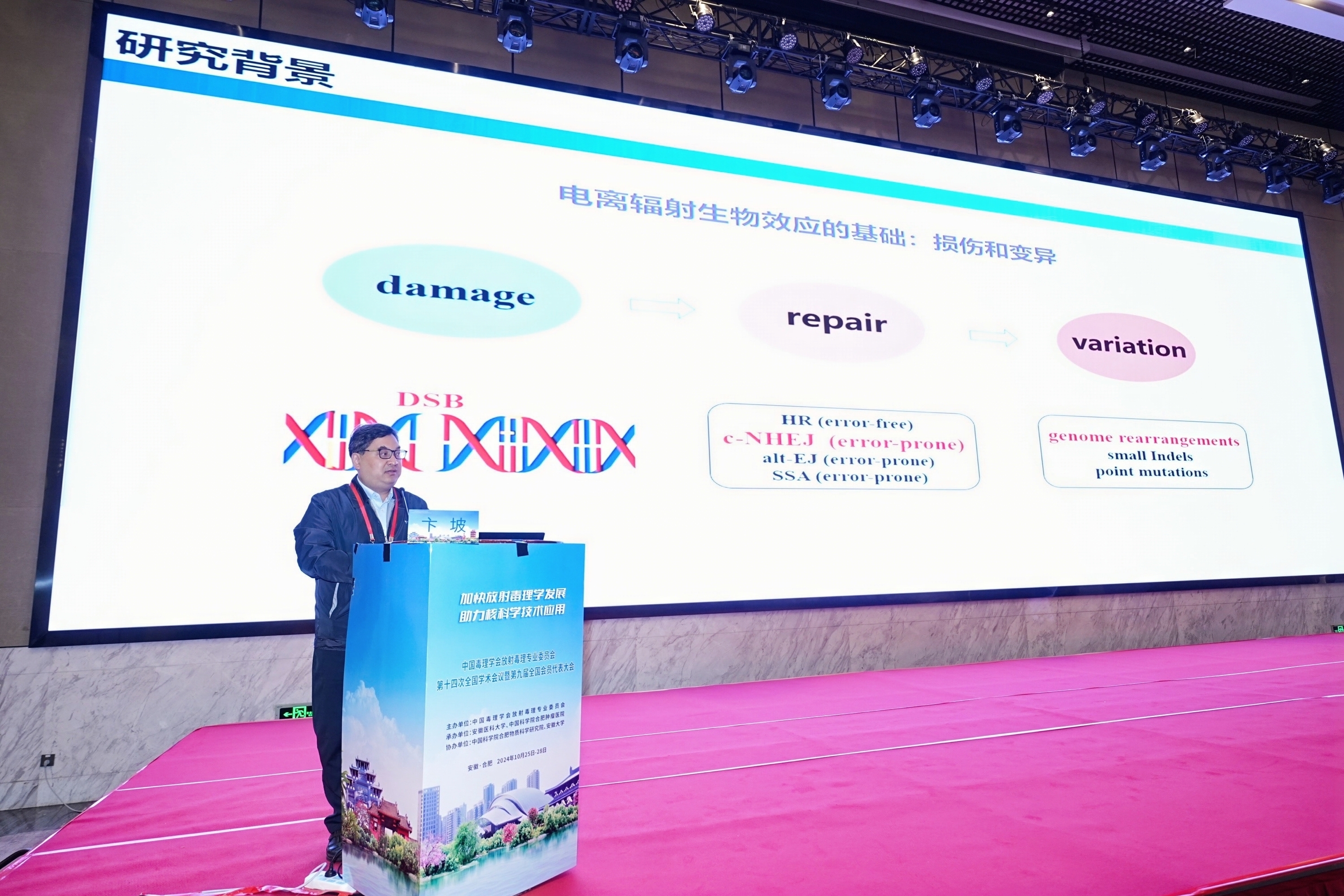 /crm/product/image/20241031/1730366480866067675.jpg /crm/product/image/20241031/1730366480866067675.jpg