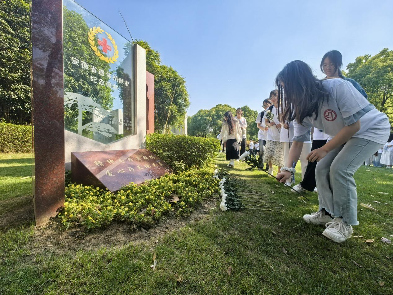 /crm/product/image/20250512/1747100682688040239.png /crm/product/image/20250512/1747100682688040239.png